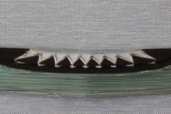 Plastemblem motorhuv