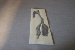 Dörr Dekal Road Runner (höger) 1969-73