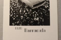 Elschema Barracuda 1970 Manual